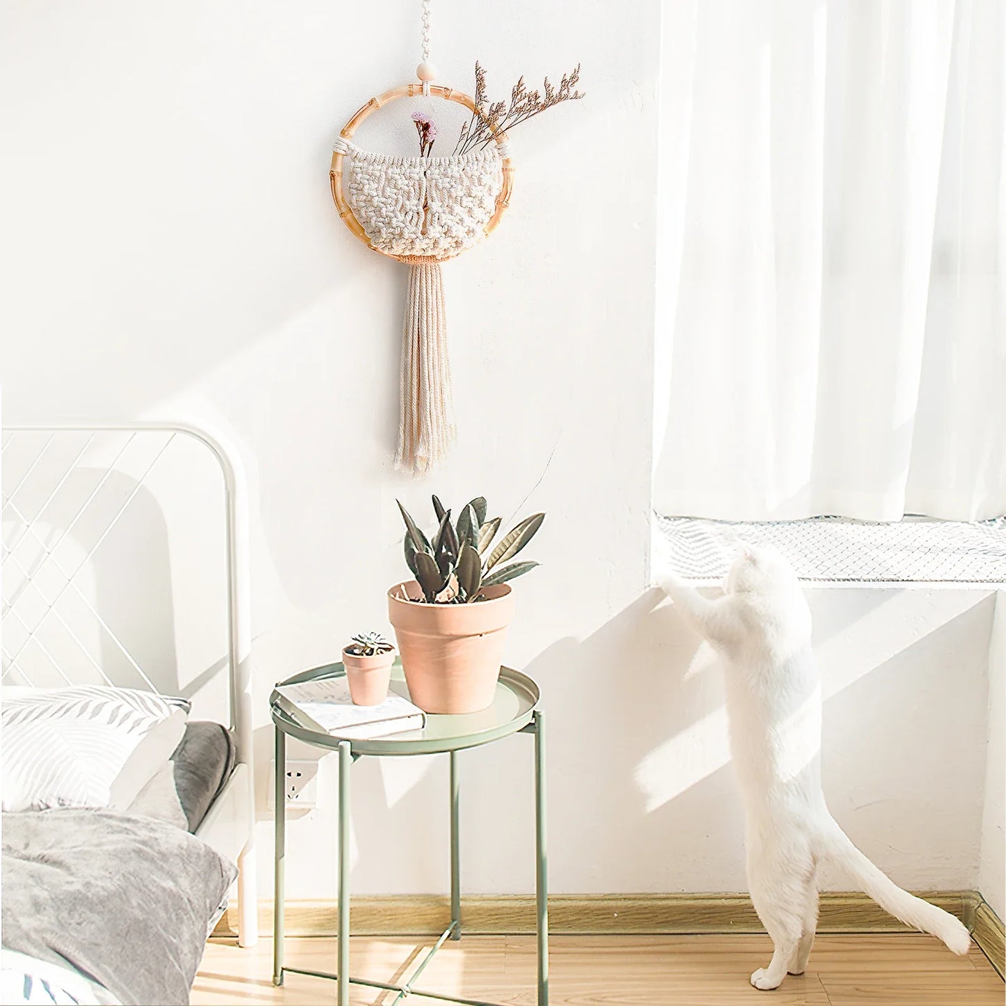 Small round glass table with a potted plant and decorative items in a room with a white wall and a cat sitting on the floor.